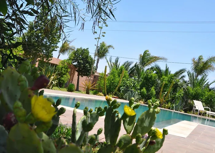 Riad Hamdani