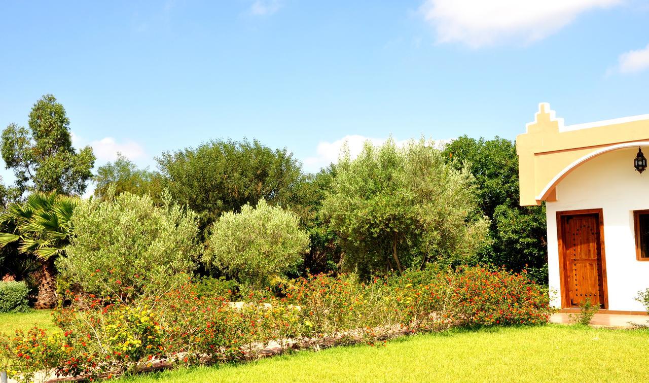 Bed & Breakfast Hamdani