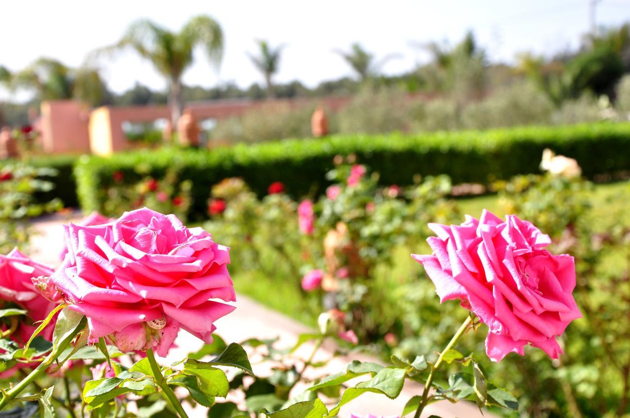 Hamdani Bed & Breakfast