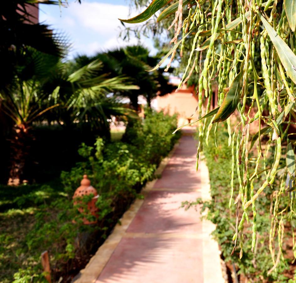 Hamdani * Derroua