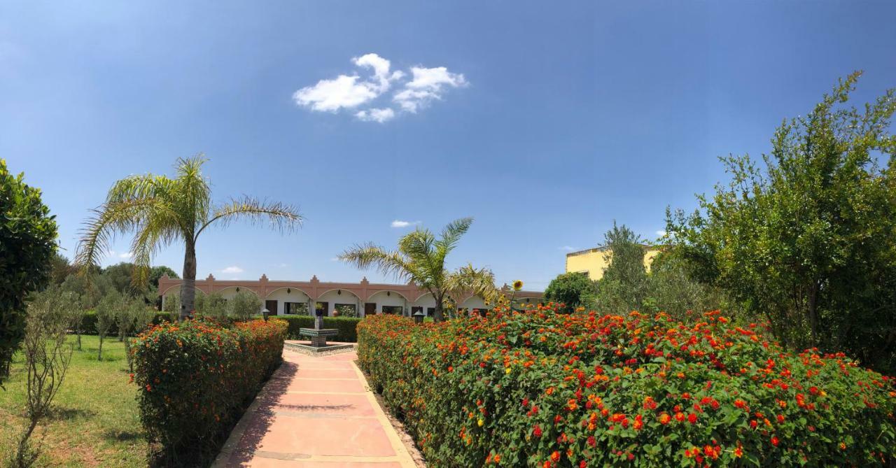 Hamdani Derroua